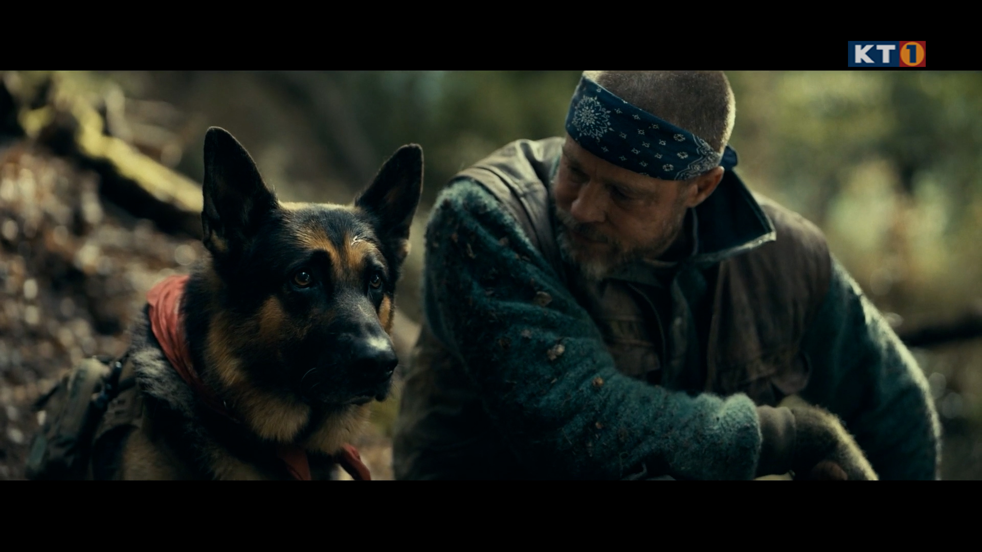 FilmBlitz – Das Filmmagazin (KW42/26)